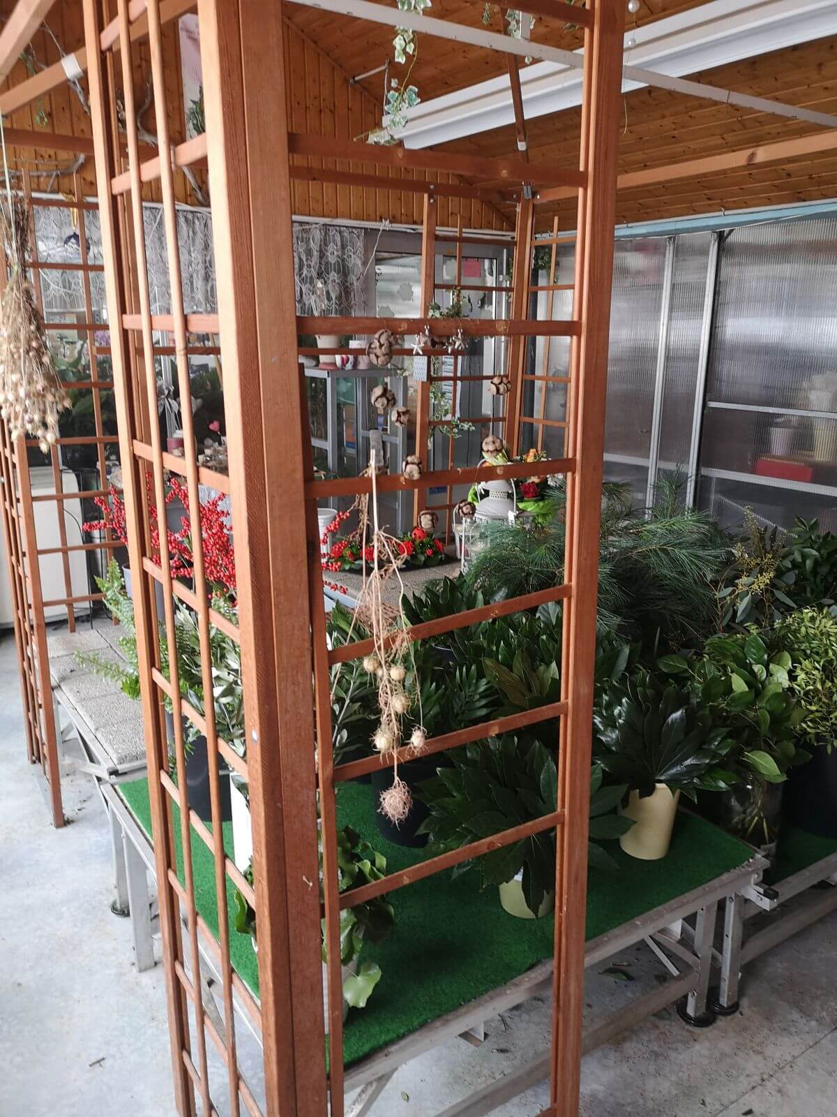 Gärtnerei Egli, Topfpflanzen, Schnittblumen, Unterhalt, Überwinterung Blumenladen-2