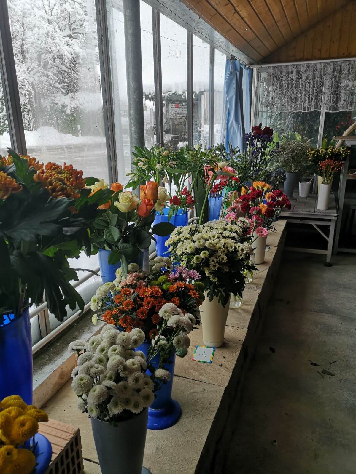 Gärtnerei Egli, Topfpflanzen, Schnittblumen, Unterhalt, Überwinterung Blumenladen-3