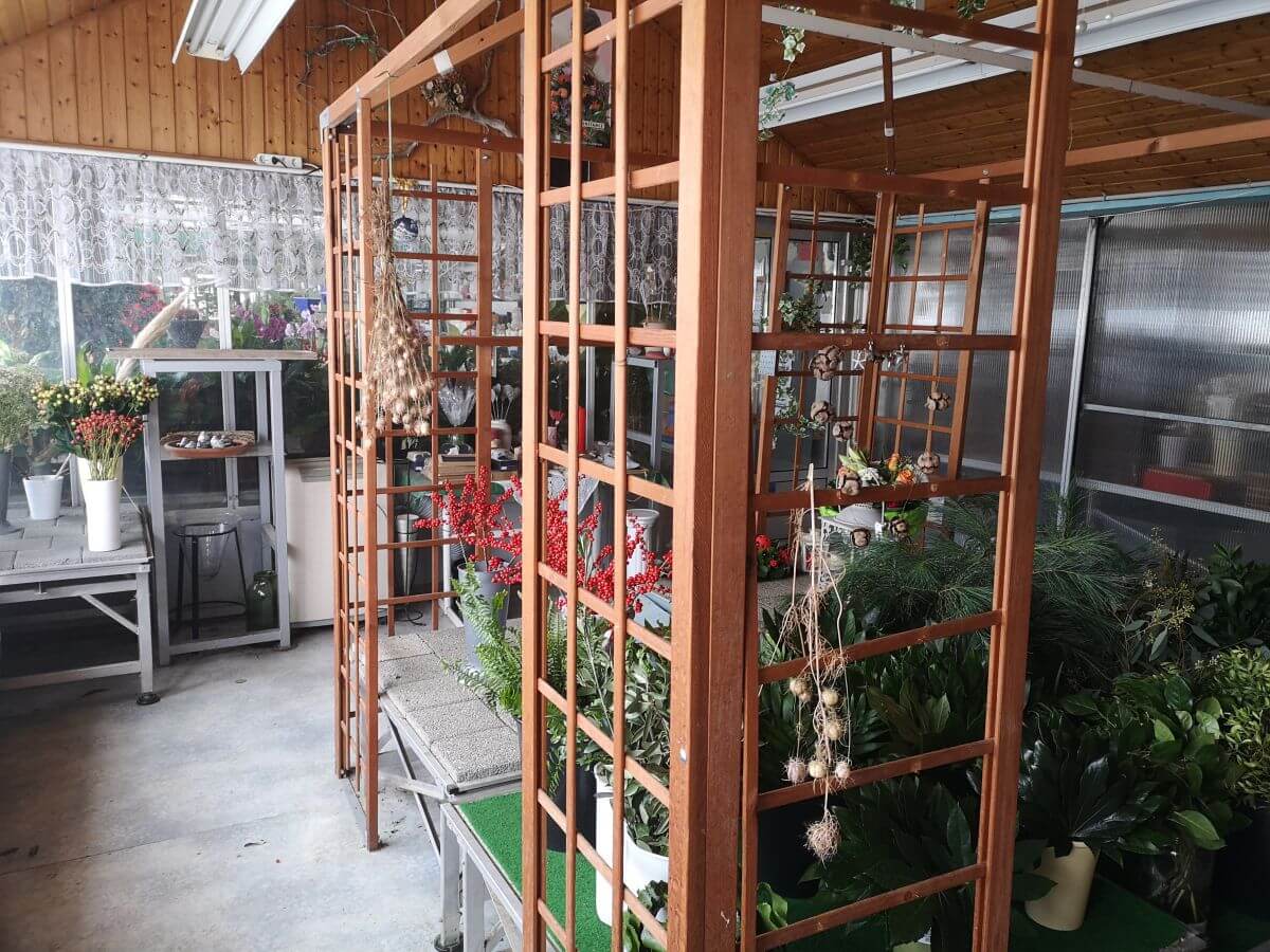Gärtnerei Egli, Topfpflanzen, Schnittblumen, Unterhalt, Überwinterung Blumenladen-6