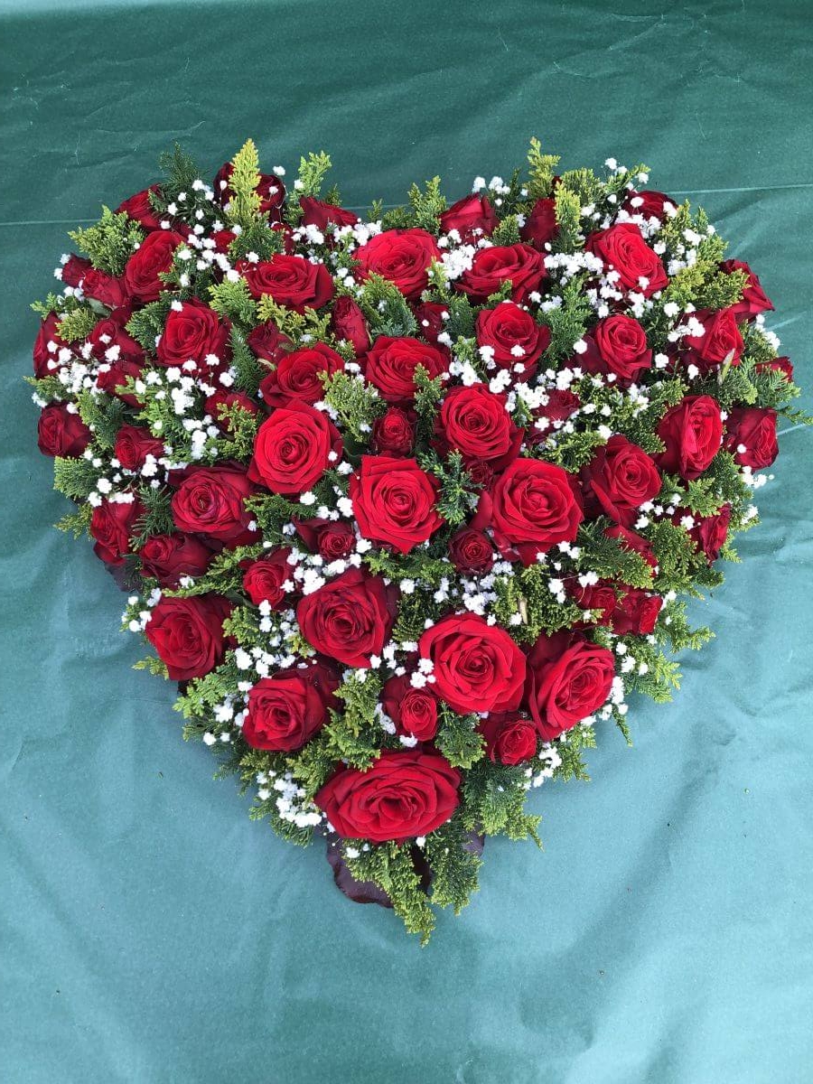 Gärtnerei Egli, Topfpflanzen, Schnittblumen, Unterhalt, Überwinterung Blumen-2