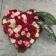 Gärtnerei Egli, Topfpflanzen, Schnittblumen, Unterhalt, Überwinterung Trauer-rosen-rosa
